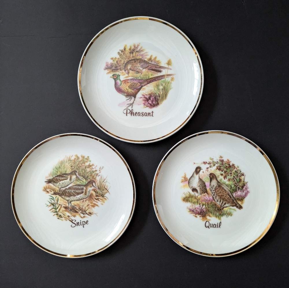 Bird Themed Decorative Plates 7.5" Set Of 3 Vintage Japan Cottagecore Cabincore